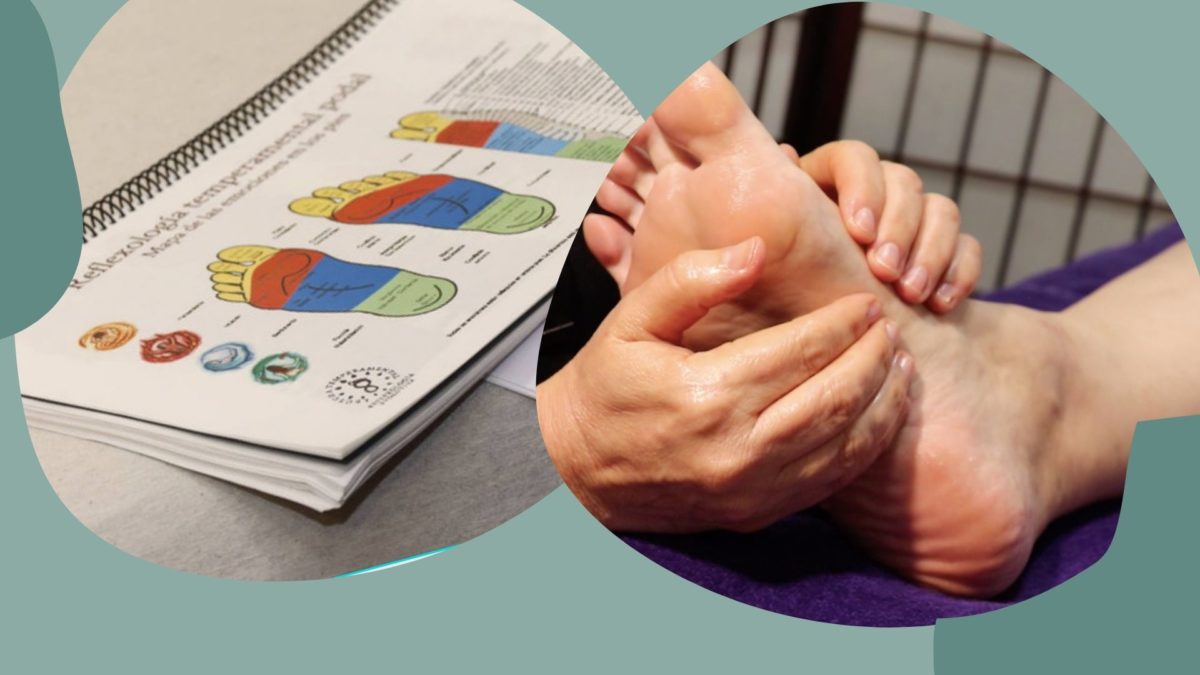 Cursos Reflexologia Podal Masajes Pies Palma De Mallorca Rafi Tur