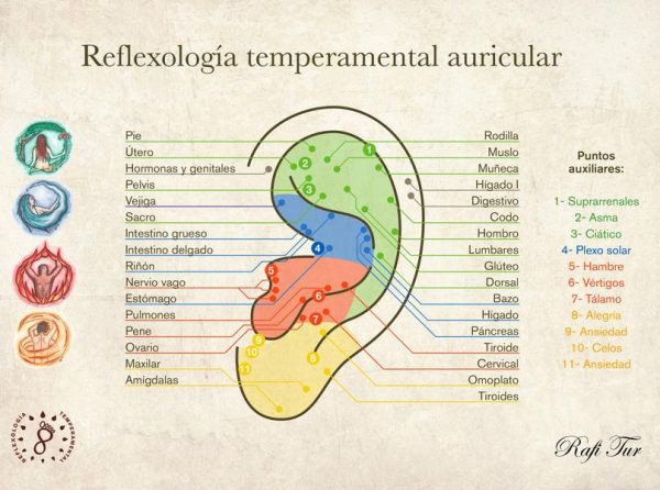 Curso Reflexolog A Auricular Enfocada A Liberaci N Emocional Centro